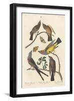 Arkansaw Flycatcher, Swallow-tailed Flycatcher and Says Flycatcher, 1837-John James Audubon-Framed Giclee Print