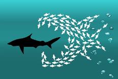 Flock of Small Fish and Shark-Arkela-Art Print