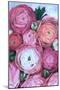 Arleth ranunculus bouquet in cold pink-Rosana Laiz Garcia-Mounted Giclee Print