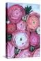 Arleth ranunculus bouquet in cold pink-Rosana Laiz Garcia-Stretched Canvas
