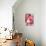 Arleth ranunculus bouquet in warm pink-Rosana Laiz Garcia-Giclee Print displayed on a wall