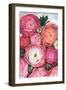 Arleth ranunculus bouquet in warm pink-Rosana Laiz Garcia-Framed Giclee Print