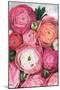 Arleth ranunculus bouquet in warm pink-Rosana Laiz Garcia-Mounted Giclee Print