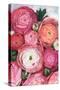 Arleth ranunculus bouquet in warm pink-Rosana Laiz Garcia-Stretched Canvas