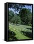 Arlington Cemetery, Arlington, Virginia, USA-Jonathan Hodson-Framed Stretched Canvas