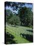 Arlington Cemetery, Arlington, Virginia, USA-Jonathan Hodson-Stretched Canvas