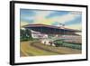 Arlington Heights, Illinois - Horse Race at Arlington Race Track-Lantern Press-Framed Premium Giclee Print