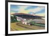 Arlington Heights, Illinois - Horse Race at Arlington Race Track-Lantern Press-Framed Art Print