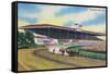 Arlington Heights, Illinois - Horse Race at Arlington Race Track-Lantern Press-Framed Stretched Canvas