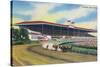 Arlington Heights, Illinois - Horse Race at Arlington Race Track-Lantern Press-Stretched Canvas