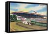 Arlington Heights, Illinois - Horse Race at Arlington Race Track-Lantern Press-Framed Stretched Canvas