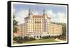 Arlington Hotel, Hot Springs, Arkansas-null-Framed Stretched Canvas