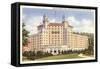 Arlington Hotel, Hot Springs, Arkansas-null-Framed Stretched Canvas