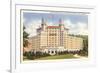 Arlington Hotel, Hot Springs, Arkansas-null-Framed Art Print