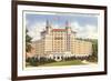 Arlington Hotel, Hot Springs, Arkansas-null-Framed Art Print