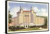 Arlington Hotel, Hot Springs, Arkansas-null-Framed Stretched Canvas