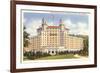 Arlington Hotel, Hot Springs, Arkansas-null-Framed Premium Giclee Print