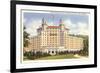Arlington Hotel, Hot Springs, Arkansas-null-Framed Premium Giclee Print