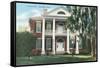 Arlington, Natchez, Mississippi-null-Framed Stretched Canvas