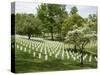 Arlington National Cemetery, Arlington, Virginia, United States of America, North America-Robert Harding-Stretched Canvas