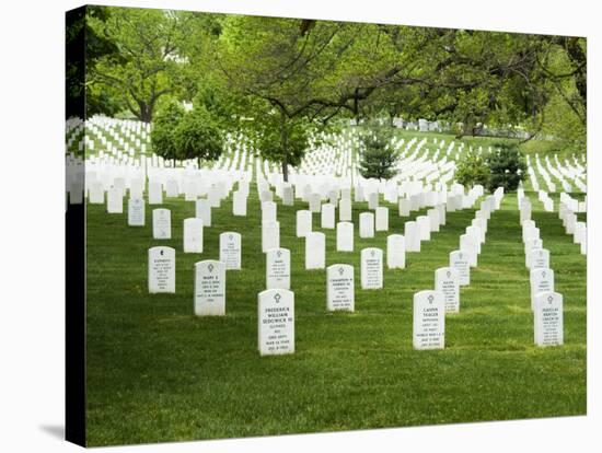 Arlington National Cemetery, Arlington, Virginia, United States of America, North America-Robert Harding-Stretched Canvas