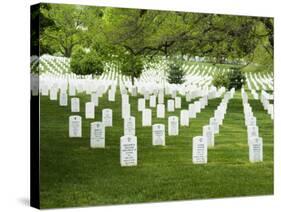 Arlington National Cemetery, Arlington, Virginia, United States of America, North America-Robert Harding-Stretched Canvas