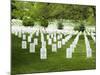 Arlington National Cemetery, Arlington, Virginia, United States of America, North America-Robert Harding-Mounted Photographic Print