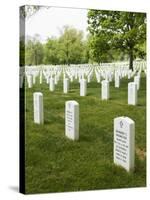 Arlington National Cemetery, Arlington, Virginia, United States of America, North America-Robert Harding-Stretched Canvas