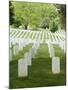 Arlington National Cemetery, Arlington, Virginia, United States of America, North America-Robert Harding-Mounted Photographic Print