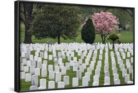 Arlington National Cemetery Headstones, Arlington, Virginia, USA-Jaynes Gallery-Framed Photographic Print