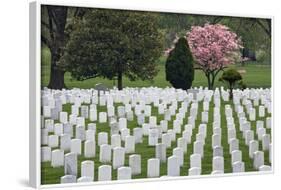 Arlington National Cemetery Headstones, Arlington, Virginia, USA-Jaynes Gallery-Framed Photographic Print