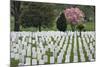 Arlington National Cemetery Headstones, Arlington, Virginia, USA-Jaynes Gallery-Mounted Photographic Print