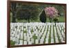 Arlington National Cemetery Headstones, Arlington, Virginia, USA-Jaynes Gallery-Framed Photographic Print