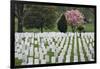 Arlington National Cemetery Headstones, Arlington, Virginia, USA-Jaynes Gallery-Framed Photographic Print