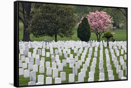 Arlington National Cemetery Headstones, Arlington, Virginia, USA-Jaynes Gallery-Framed Stretched Canvas