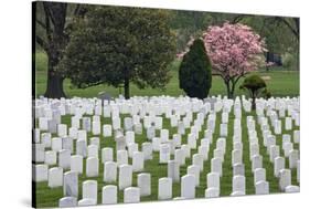 Arlington National Cemetery Headstones, Arlington, Virginia, USA-Jaynes Gallery-Stretched Canvas