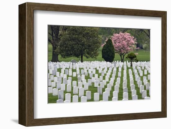 Arlington National Cemetery Headstones, Arlington, Virginia, USA-Jaynes Gallery-Framed Photographic Print