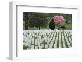 Arlington National Cemetery Headstones, Arlington, Virginia, USA-Jaynes Gallery-Framed Photographic Print