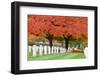 Arlington National Cemetery near to Washington Dc, in Autumn-Orhan-Framed Premium Photographic Print