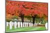 Arlington National Cemetery near to Washington Dc, in Autumn-Orhan-Mounted Premium Photographic Print