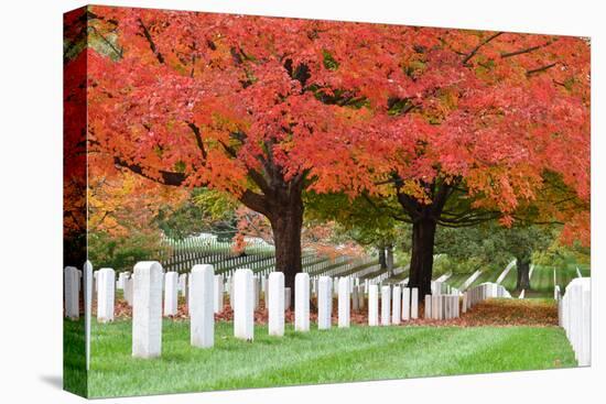 Arlington National Cemetery near to Washington Dc, in Autumn-Orhan-Stretched Canvas