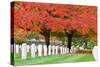 Arlington National Cemetery near to Washington Dc, in Autumn-Orhan-Stretched Canvas