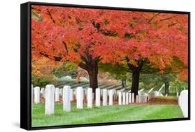 Arlington National Cemetery near to Washington Dc, in Autumn-Orhan-Framed Stretched Canvas