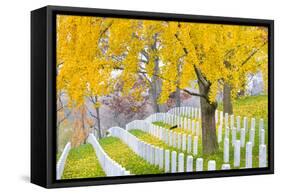 Arlington National Cemetery near to Washington Dc, in Autumn-Orhan-Framed Stretched Canvas