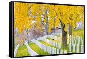 Arlington National Cemetery near to Washington Dc, in Autumn-Orhan-Framed Stretched Canvas