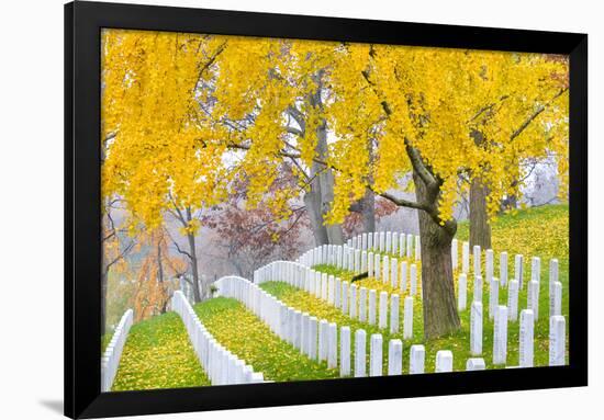 Arlington National Cemetery near to Washington Dc, in Autumn-Orhan-Framed Premium Photographic Print