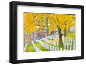 Arlington National Cemetery near to Washington Dc, in Autumn-Orhan-Framed Premium Photographic Print