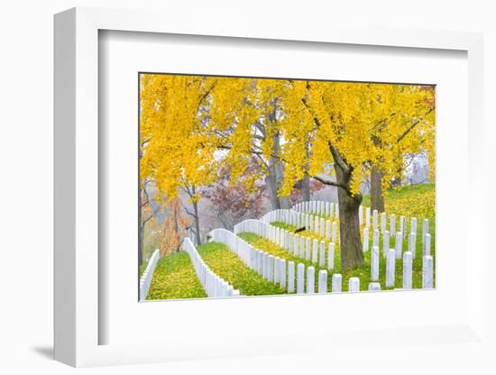 Arlington National Cemetery near to Washington Dc, in Autumn-Orhan-Framed Photographic Print