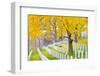 Arlington National Cemetery near to Washington Dc, in Autumn-Orhan-Framed Photographic Print