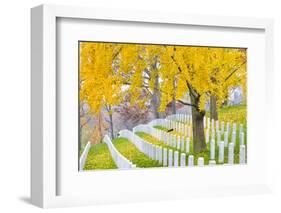 Arlington National Cemetery near to Washington Dc, in Autumn-Orhan-Framed Photographic Print